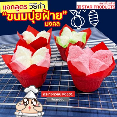 หน้าปก-blog-web-alufoilstar-เมนูขนมปุยฝ้าย-ใส่กระทงทิวลิป-สีแดงอ่อน-star-products